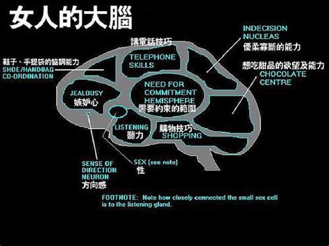 男人与女人|男女大脑“线路图”解释两性差别